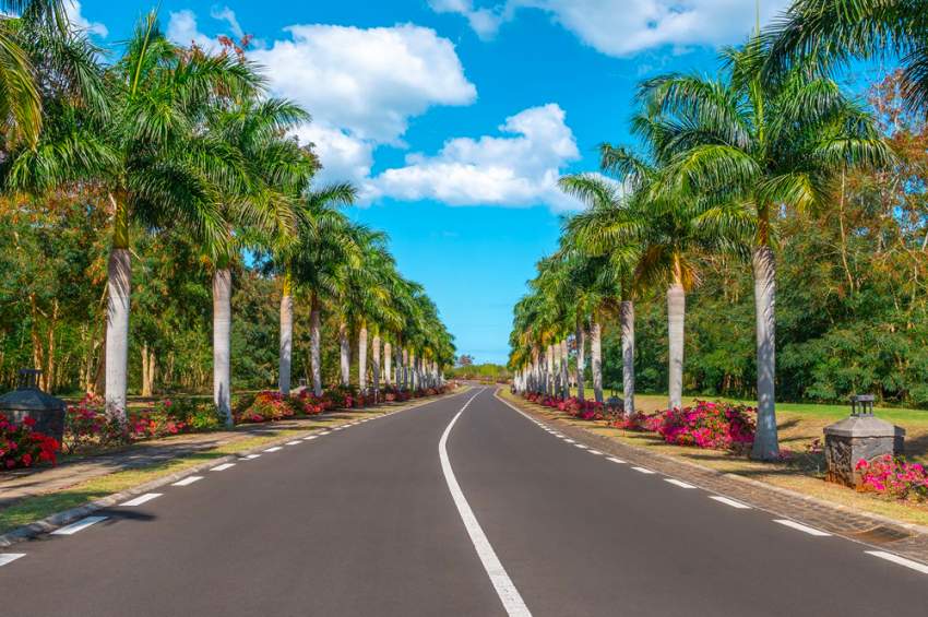 THE BEST LAND DEAL YOU WILL FIND - 5 - Land  on Aster Vender