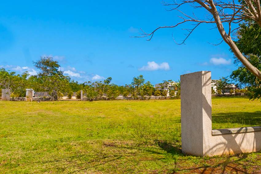 THE BEST LAND DEAL YOU WILL FIND - 8 - Land  on Aster Vender
