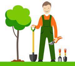 Cherche Jardiner on Aster Vender