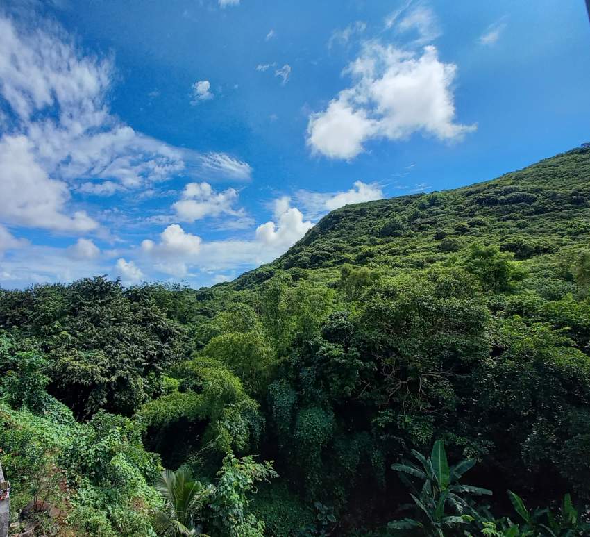 House at Moka on Aster Vender