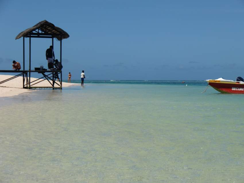 gardiennage gratuit maison animaux par retraités français on Aster Vender