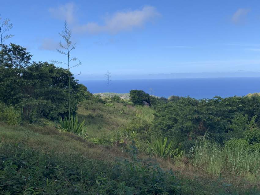 Private land Coromandel Rodrigues - 1 - Land  on Aster Vender