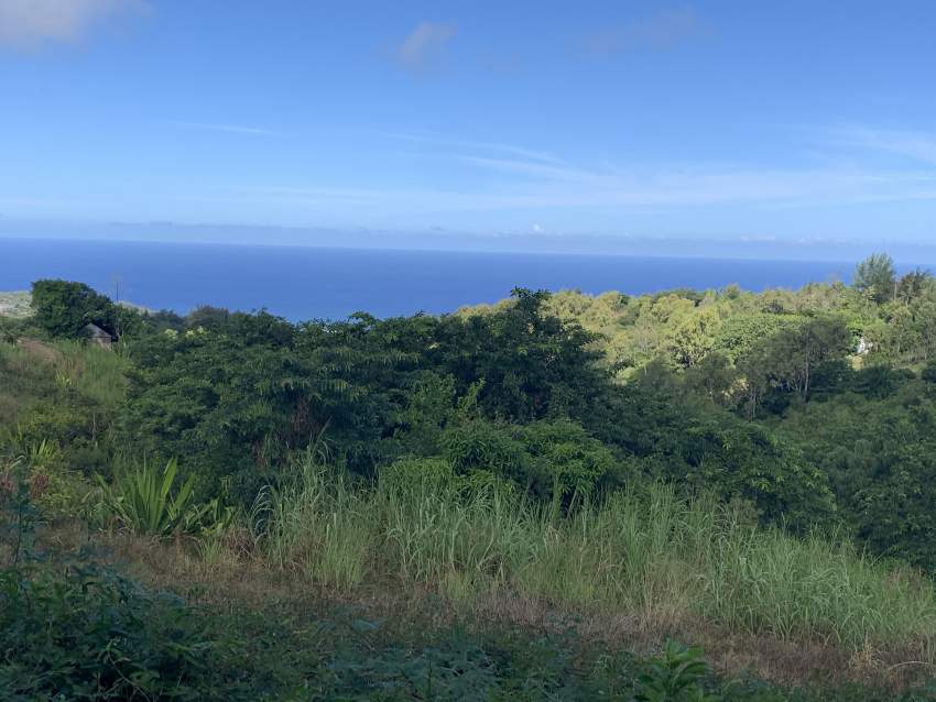 Private land Coromandel Rodrigues - 2 - Land  on Aster Vender