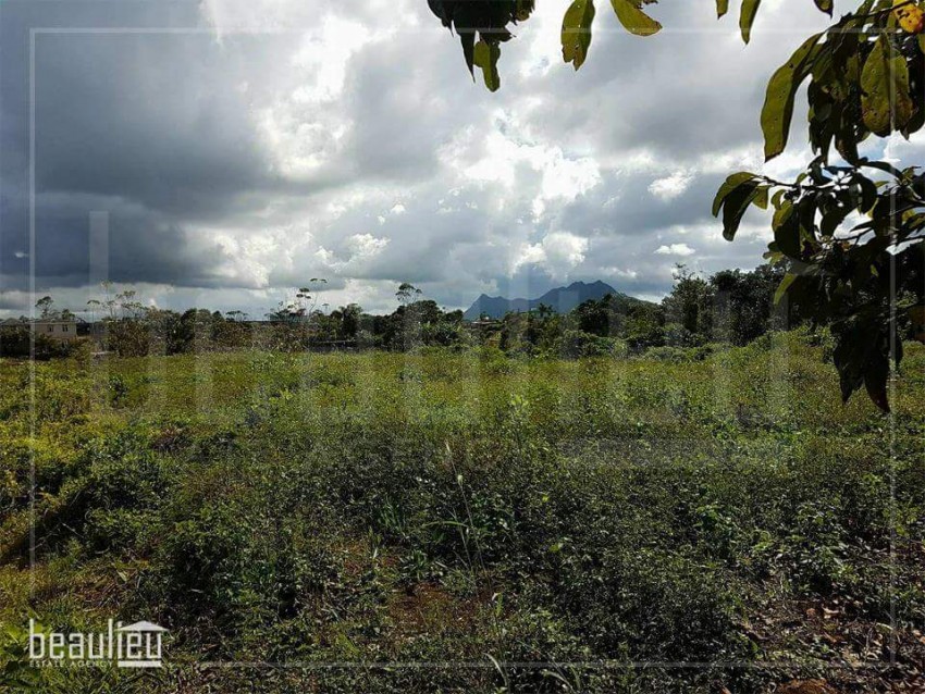 30 Perches Residential  land in Upper Dagotière  - 1 - Land  on Aster Vender