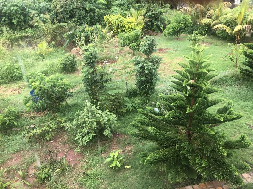 Terrain a vendre - 0 - Land  on Aster Vender