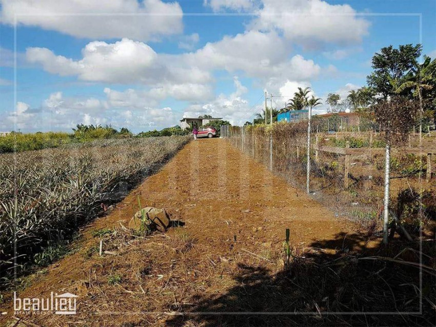 11,5 Perches Residential land in Mont ida  - 3 - Land  on Aster Vender