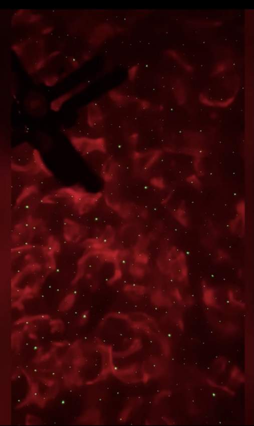 BLUETOOTH GALAXY NIGHT LED LIGHT PROJECTOR  - 1 - Speaker  on Aster Vender