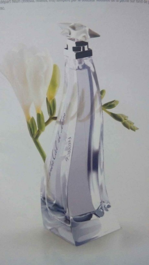 Entre  ciel et terre - 0 - All Perfume  on Aster Vender