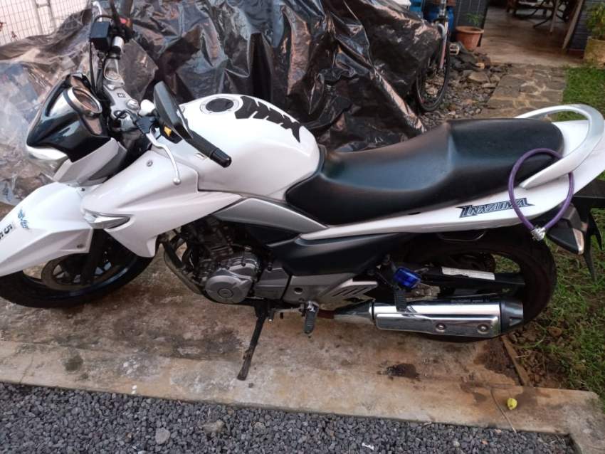 Suzuki GW250  - 0 - Roadsters  on Aster Vender