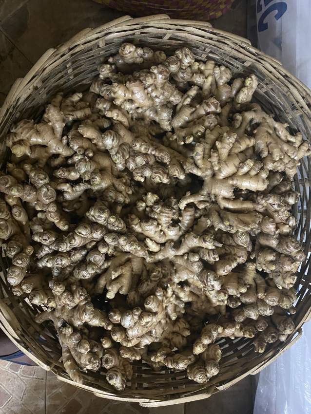 Fresh Ginger - 0 - Fruits and Vegetables  on Aster Vender