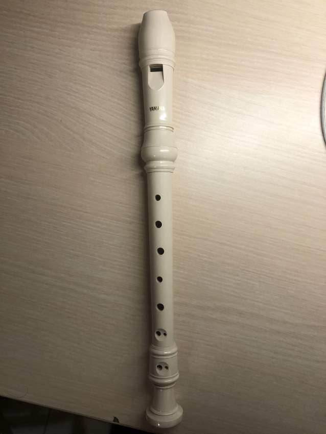 Flute - 1 - Other Musical Equipment  on Aster Vender