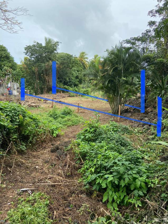 Land for sale - 1 - Land  on Aster Vender