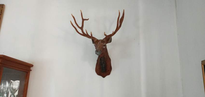 Decoration Impala for office or home - 0 - Interior Decor  on Aster Vender