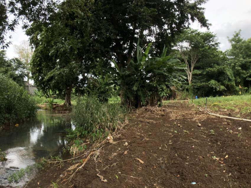 Agricultural land 4302.42 m2 – Pamplemousses - 4 - Land  on Aster Vender