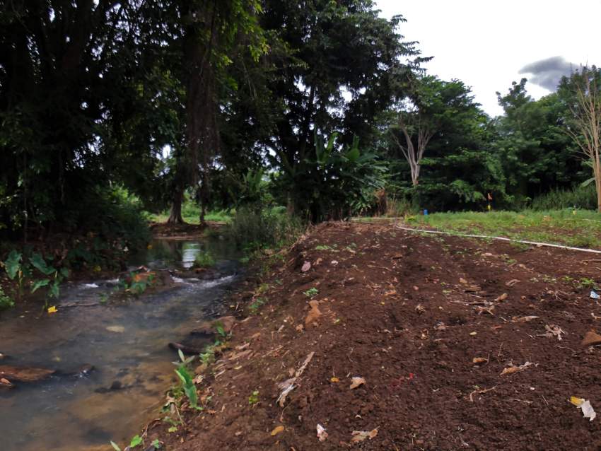 Agricultural land 4302.42 m2 – Pamplemousses - 3 - Land  on Aster Vender