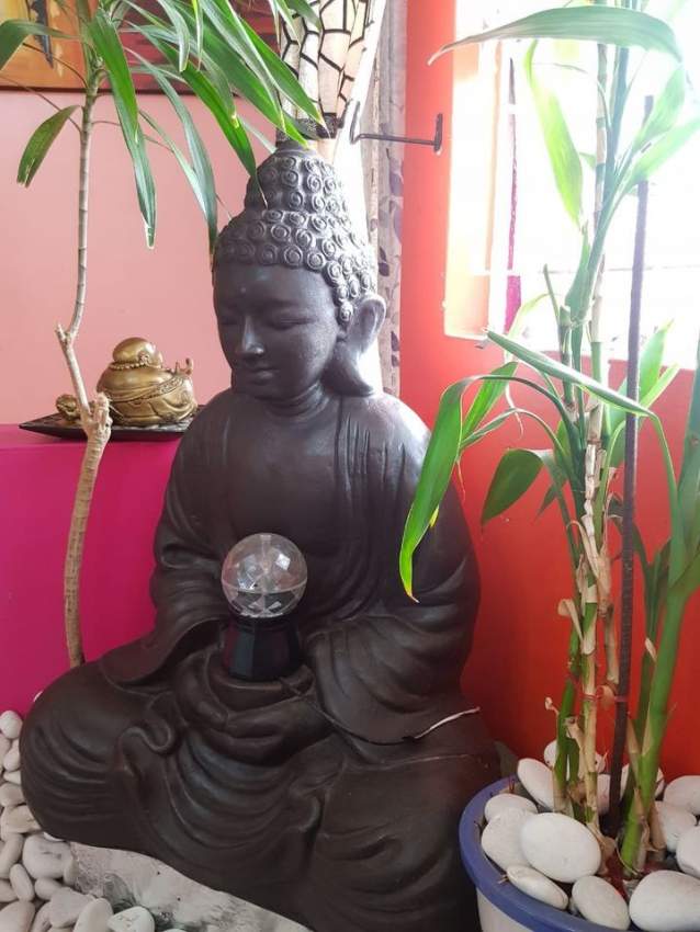 HOUSE FOR SALE IN  QUATRE BORNES - 1 - House  on Aster Vender