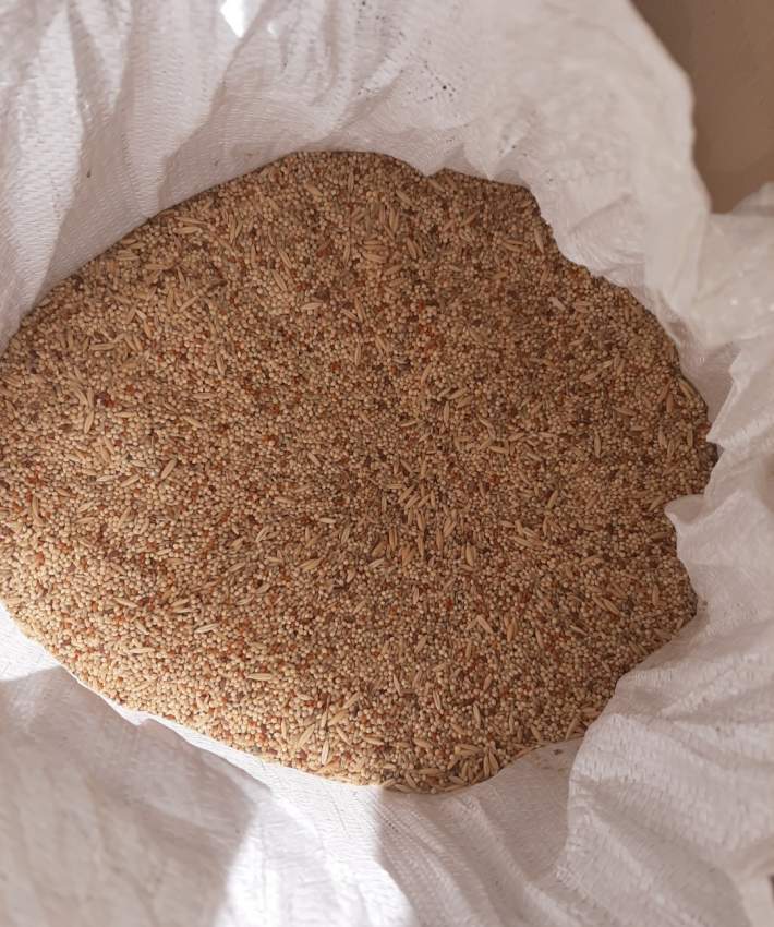 Bal Timile mélanger 25kg  - 1 - Pets supplies & accessories  on Aster Vender