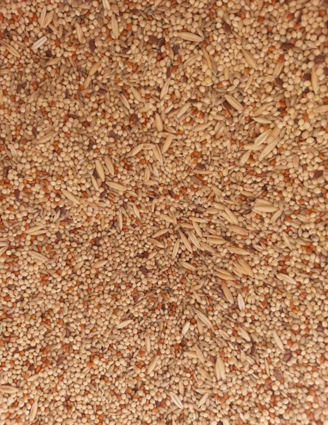 Bal Timile mélanger 25kg  - 0 - Pets supplies & accessories  on Aster Vender