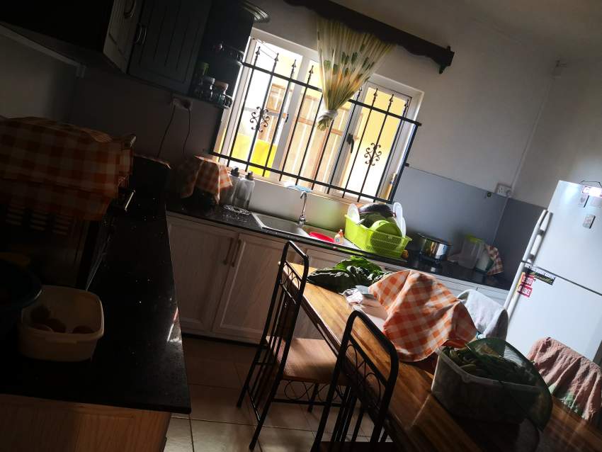 Residential House Surinam - 1 - House  on Aster Vender