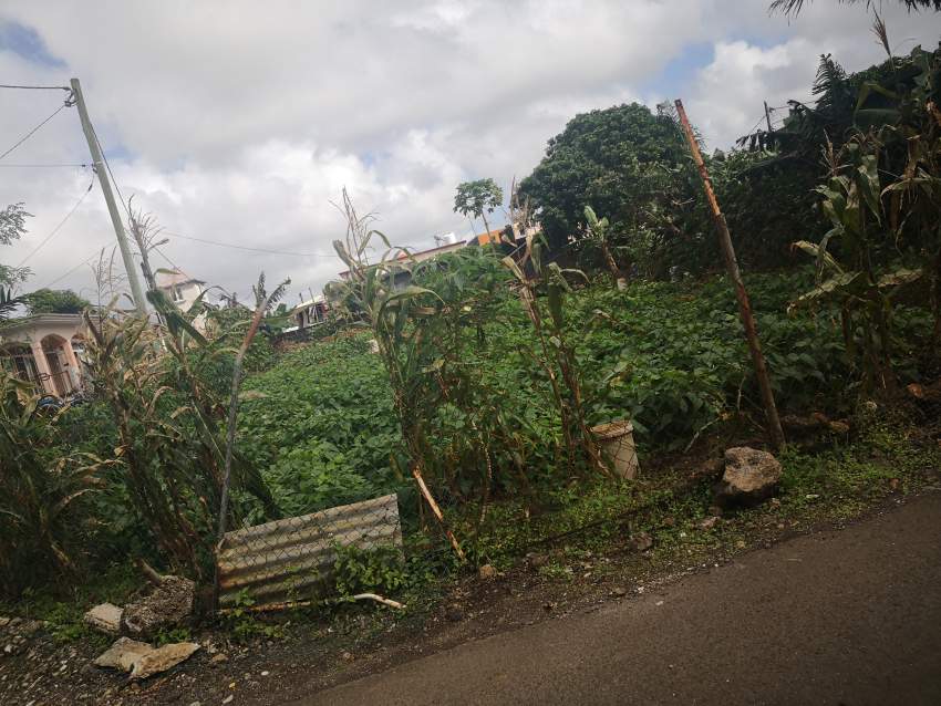 Residential Land Rose belle - 1 - Land  on Aster Vender