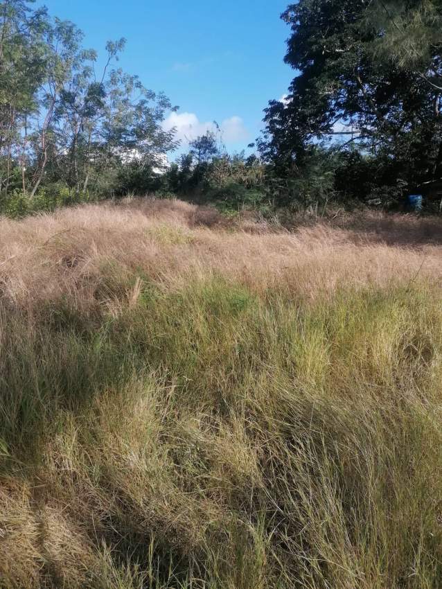 Land for sale at Calodyne - 3 - Land  on Aster Vender