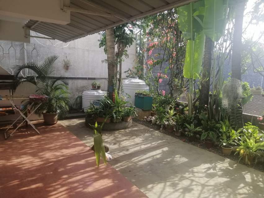 Campement - Pereybere - 3 chambres - 58954230 - 5 - Villas  on Aster Vender