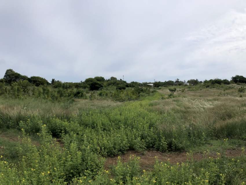 Grand Gaube Residential land - 40 Poles - 3 - Land  on Aster Vender