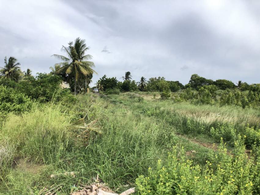 Grand Gaube Residential land - 40 Poles - 2 - Land  on Aster Vender