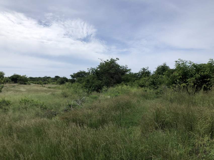 Grand Gaube Residential land - 40 Poles - 0 - Land  on Aster Vender