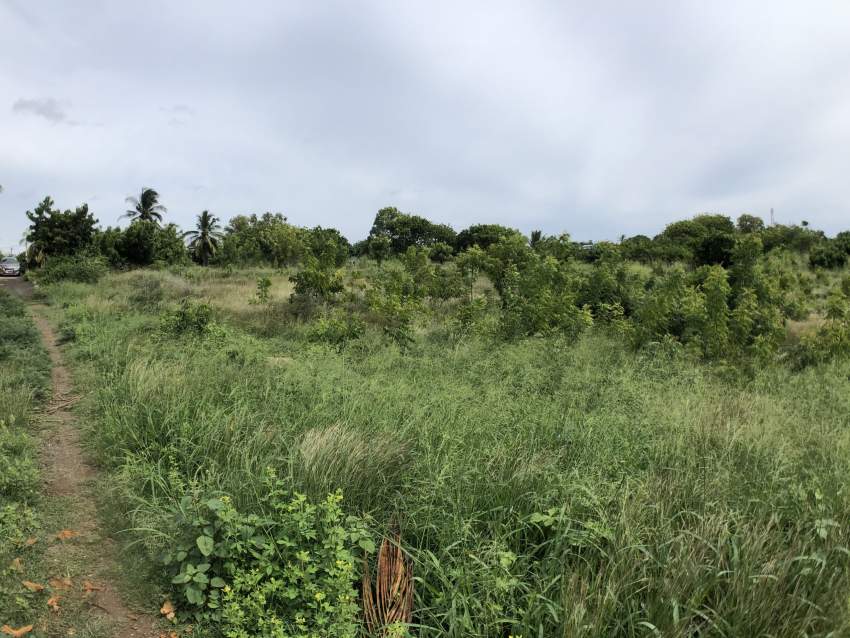 Grand Gaube Residential land - 40 Poles - 5 - Land  on Aster Vender