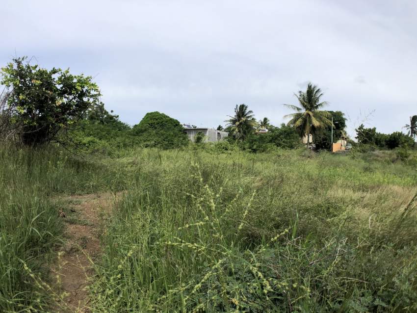 Grand Gaube Residential land - 40 Poles - 1 - Land  on Aster Vender