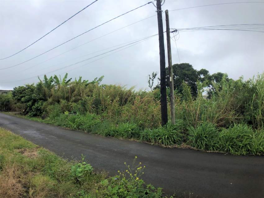 Wooton Residential Land - 15 Poles - 5 - Land  on Aster Vender