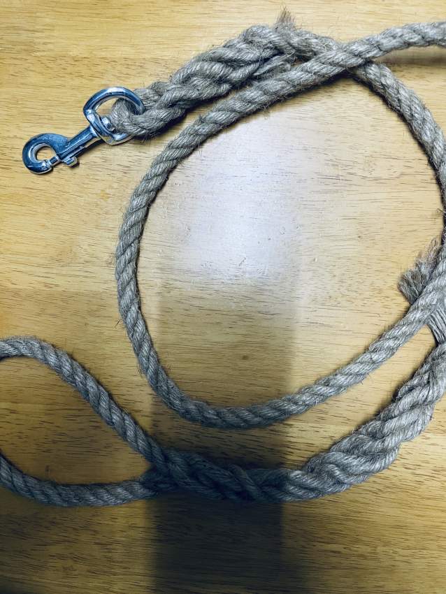 Dog Leash - 0 - Pets supplies & accessories  on Aster Vender