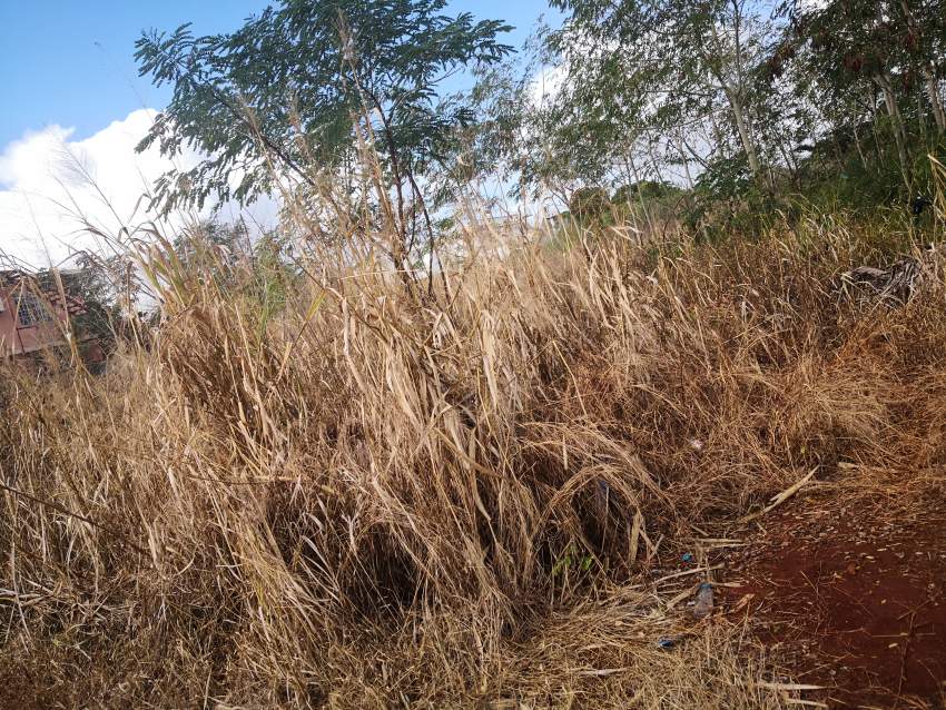 Residential land-Investment opportunity in Tombeau Bay - 2 - Land  on Aster Vender