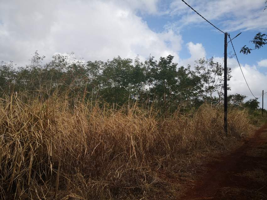 Residential land-Investment opportunity in Tombeau Bay - 3 - Land  on Aster Vender