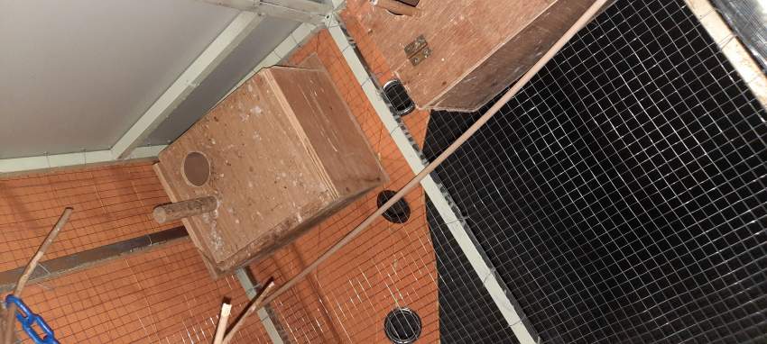 BOX FOR Perushe  - 0 - Birds  on Aster Vender