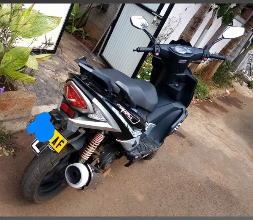 Matador 50cc - 2 - Scooters (above 50cc)  on Aster Vender