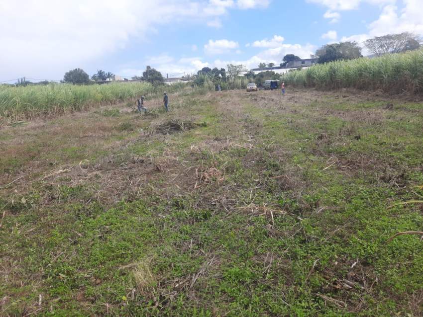 Land for sale on Aster Vender