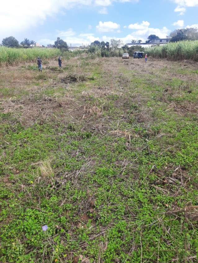 Land for sale  - 2 - Land  on Aster Vender