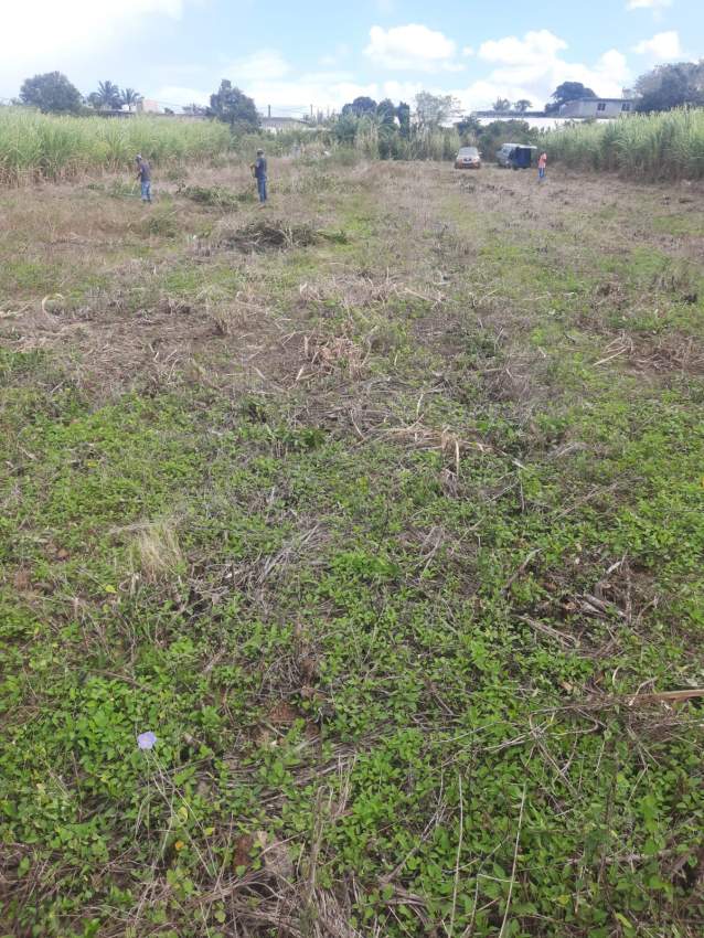 Land for sale  - 1 - Land  on Aster Vender