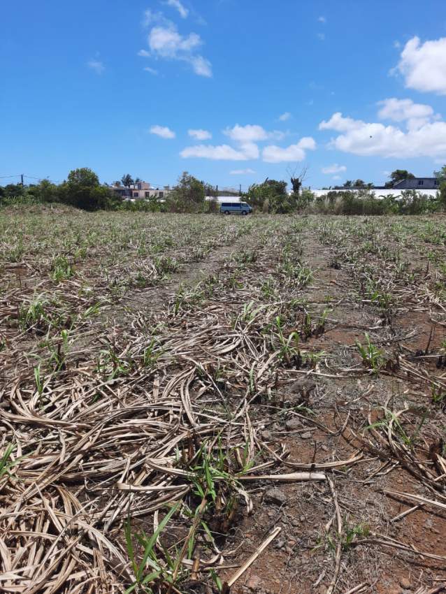 Land for sale  - 3 - Land  on Aster Vender