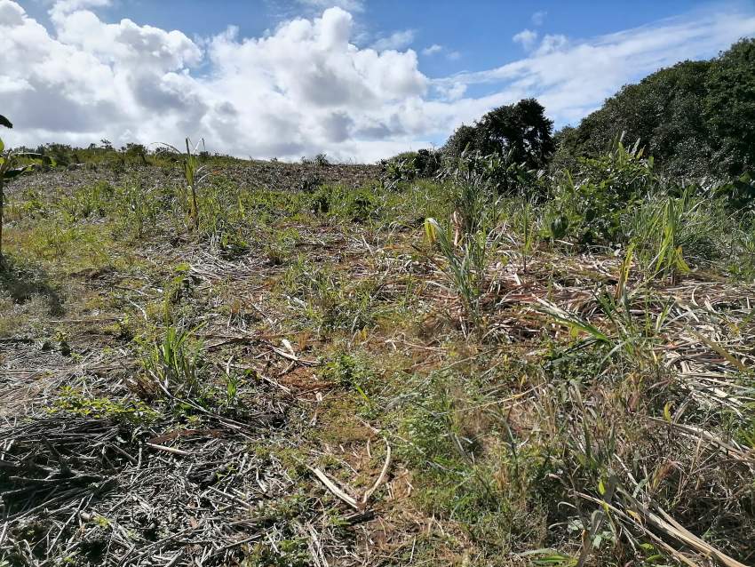 3 arpent 20 agricole a vendre Britannia  - 1 - Land  on Aster Vender