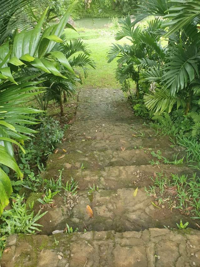 Golden opportunity - 4 - Land  on Aster Vender