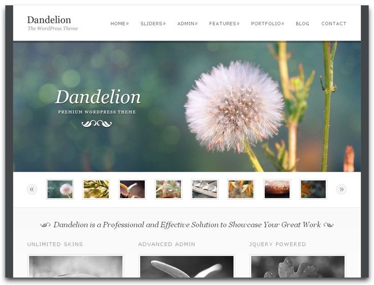 Professional website design - 1 - Web developer  on Aster Vender