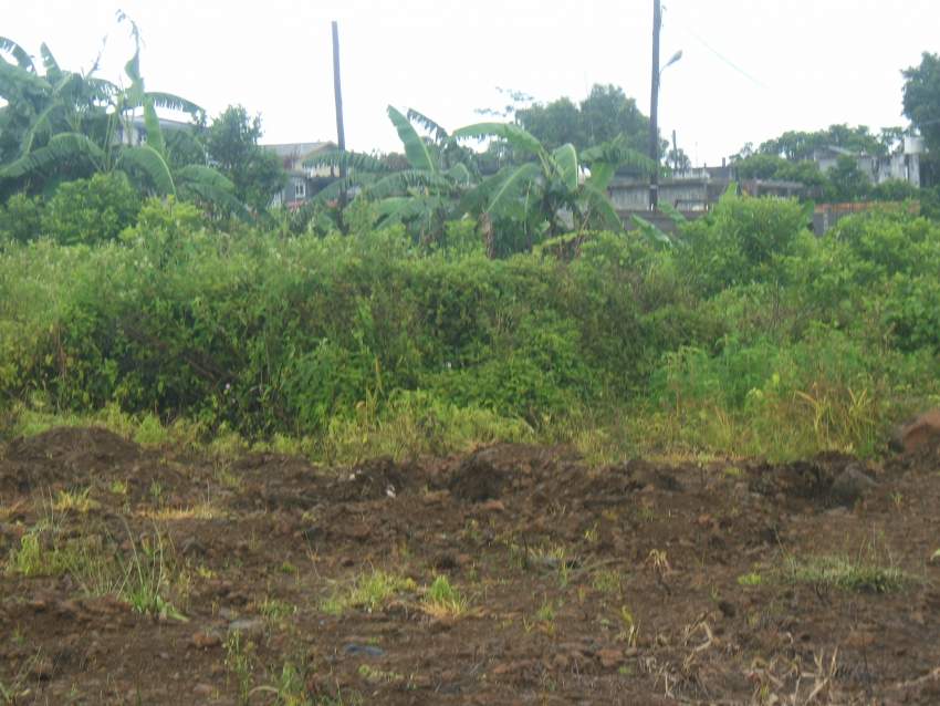  1 arpent 5 perche nouvelle france  - 3 - Land  on Aster Vender