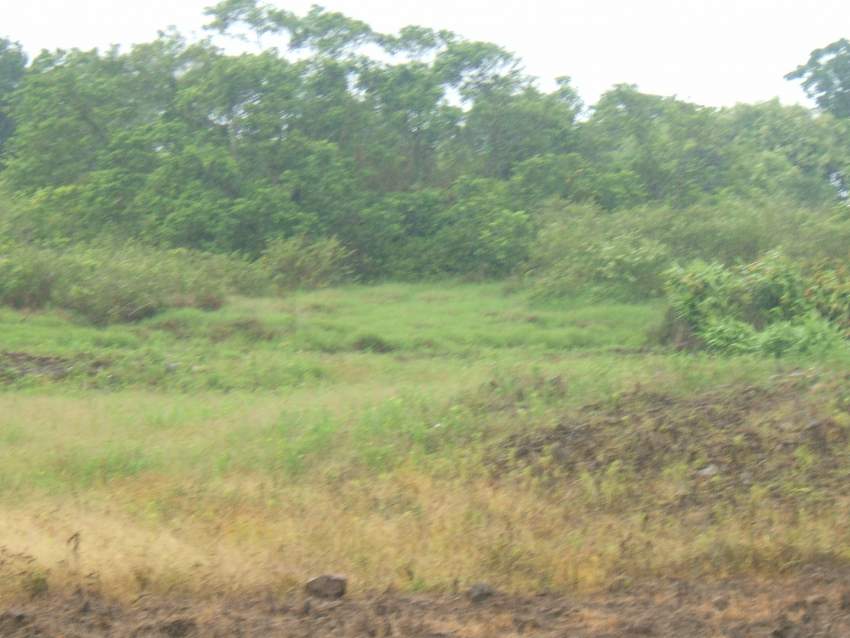  1 arpent 5 perche nouvelle france  - 0 - Land  on Aster Vender