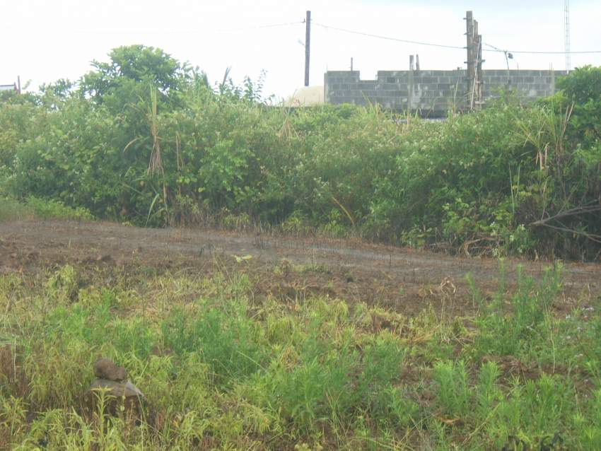  1 arpent 5 perche nouvelle france  - 2 - Land  on Aster Vender