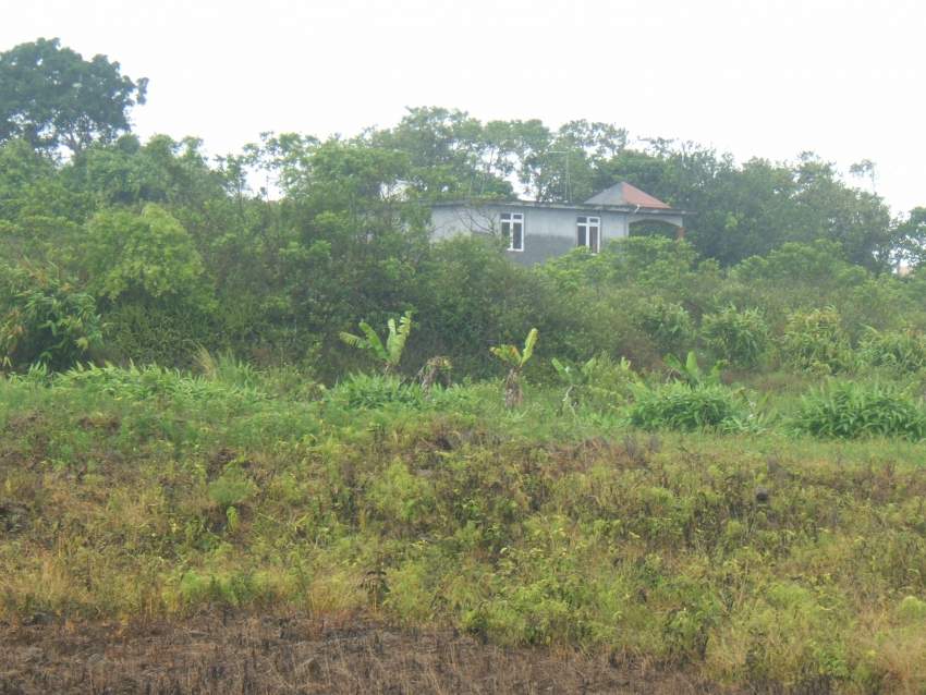  1 arpent 5 perche nouvelle france  - 1 - Land  on Aster Vender