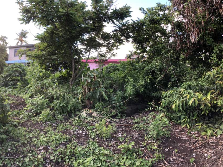 RESIDENTIAL LAND - 11.3 POLES - 2 - Land  on Aster Vender