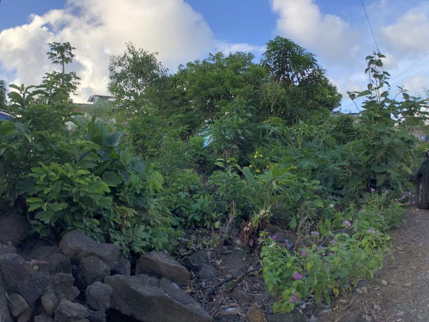 RESIDENTIAL LAND - 11.3 POLES - 0 - Land  on Aster Vender